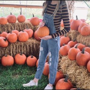 Small womens overalls
